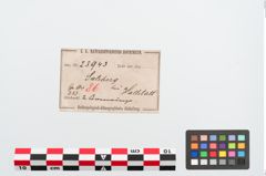 Etiketten zu Bronzearmreif (NHMW-PRAE-023943)